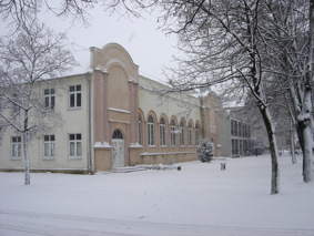 Beli Manastir - zimi